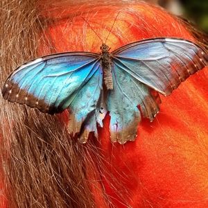 Meet your Posher, Anahei